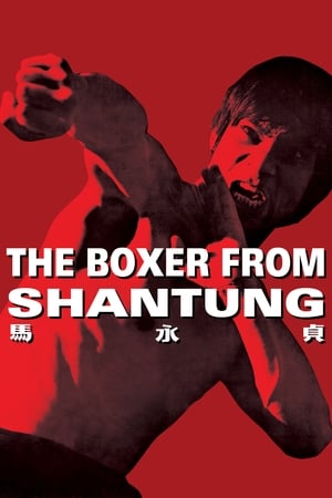 Boxer from Shantung (1972) Hindi Dual Audio 480p BluRay 400MB