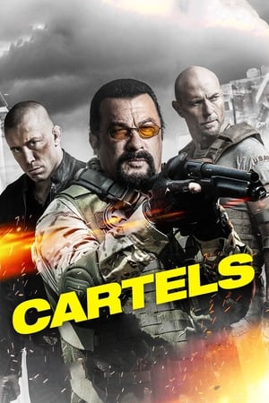 Cartels 2017 Hindi Dual Audio 480p BluRay 300MB