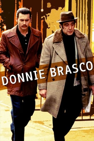 Donnie Brasco (1997) Hindi Dual Audio 480p BluRay 450MB