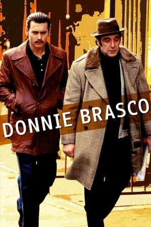 Donnie Brasco (1997) Hindi Dual Audio 720p BluRay [1.2GB]