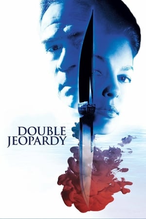 Double Jeopardy 1999 Hindi Dual Audio 480p Web-DL 350MB