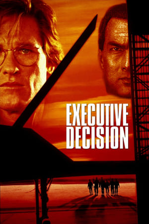 Executive Decision (1996) Hindi Dual Audio 480p BluRay 400MB
