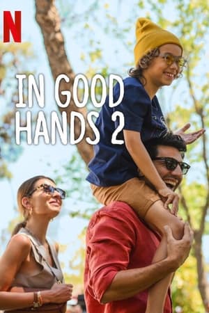 In Good Hands 2 (2024) Hindi Dual Audio HDRip – 720p – 480p
