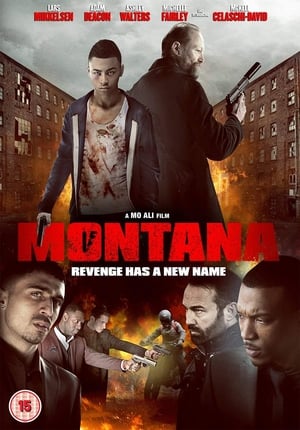 Montana (2014) Hindi Dual Audio 480p BluRay 350MB