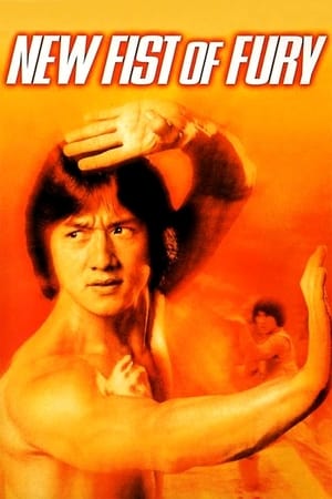 New Fists of Fury 1976 Dual Audio Hindi Full Movie 720p BluRay - 1.4GB