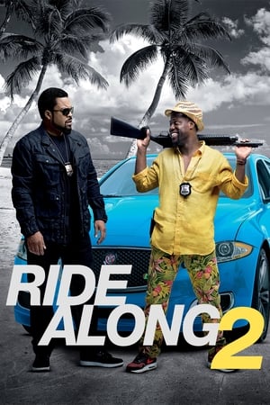 Ride Along 2 2016 Hindi Dual Audio 480p BluRay 330MB