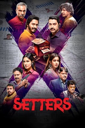 Setters (2019) Hindi Movie 480p HDRip - [350MB]