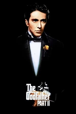 The Godfather Part II (1974) Dual Audio Hindi Full Movie 720p BluRay - 1GB