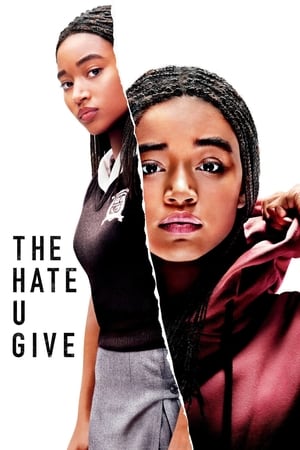 The Hate U Give (2018) Hindi Dual Audio 480p BluRay 450MB