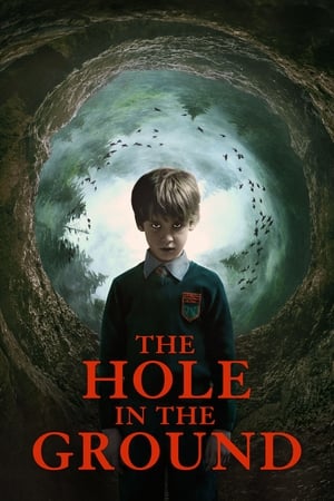 The Hole in the Ground 2019 Hindi Dual Audio 480p BluRay 300MB