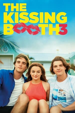 The Kissing Booth 3 2021 Hindi Dual Audio 480p Web-DL 350MB