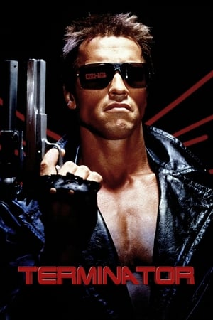 The Terminator (1984) Hindi Dual Audio 480p BluRay 380MB