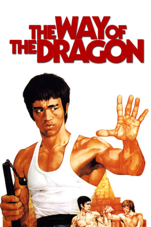 The Way of the Dragon (1972) Hindi Dual Audio 480p BluRay 300MB
