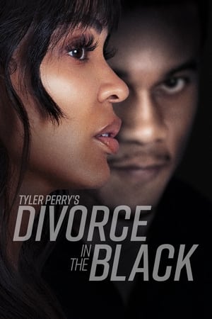 Tyler Perry’s Divorce in the Black (2024) Hindi Dual Audio HDRip 1080p – 720p – 480p